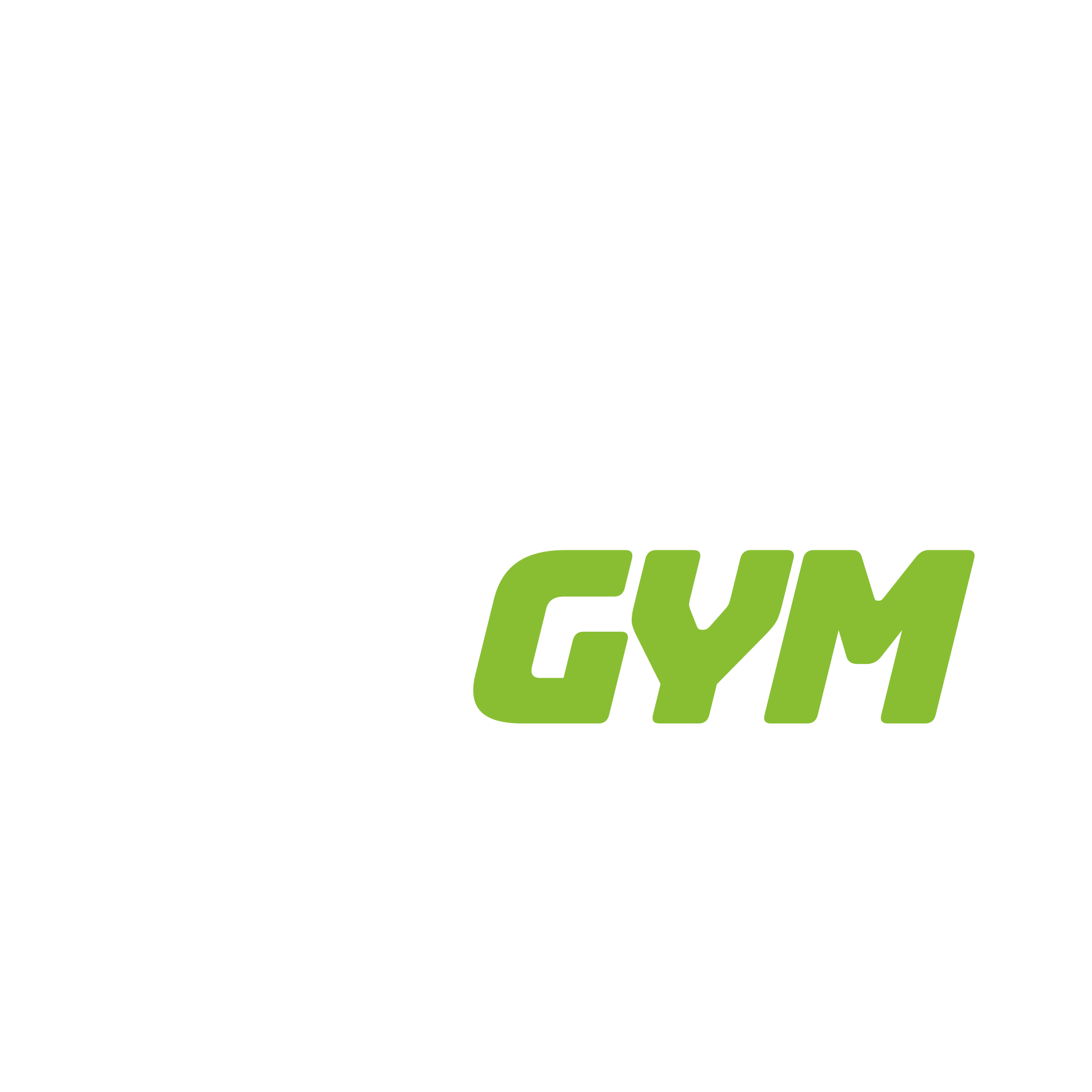 Logo LINEAL GYM